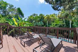 Palm Paradise - 156