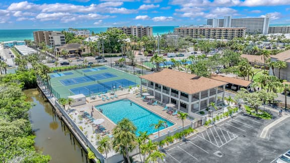 Johnnys Island Palm - 508
